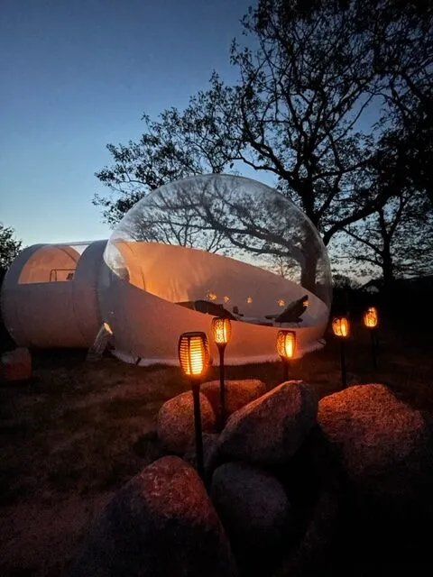 Bubble-img